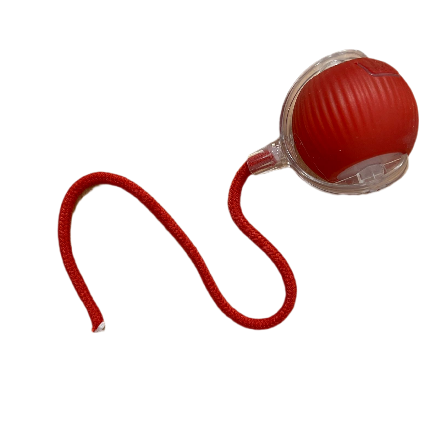 Pelota interactiva con cordón