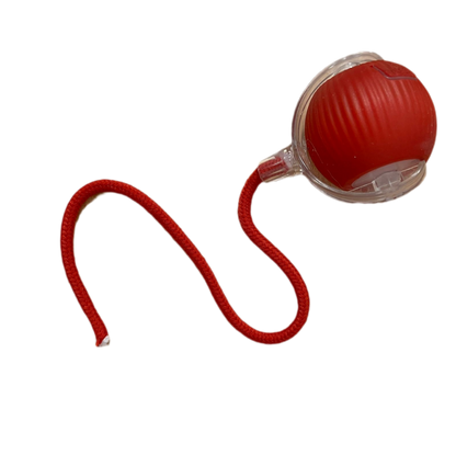 Pelota interactiva con cordón