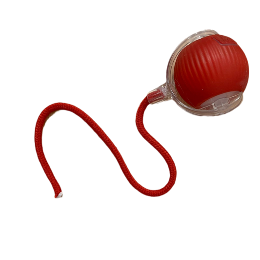 Pelota interactiva con cordón