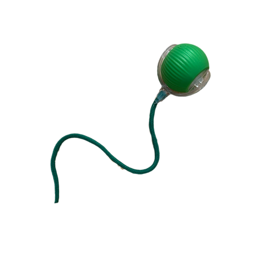 Pelota interactiva con cordón