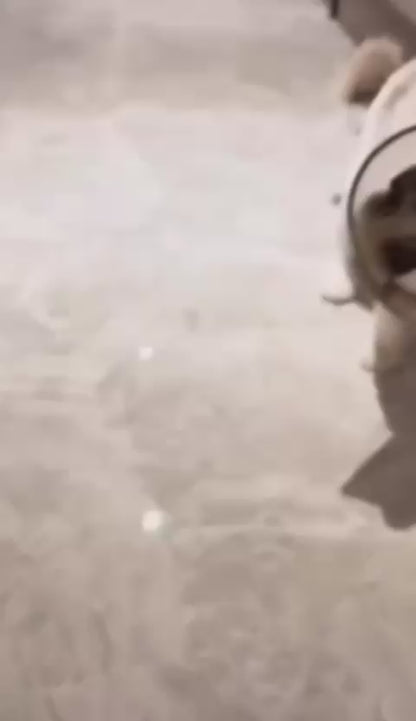 Pelota inteligente